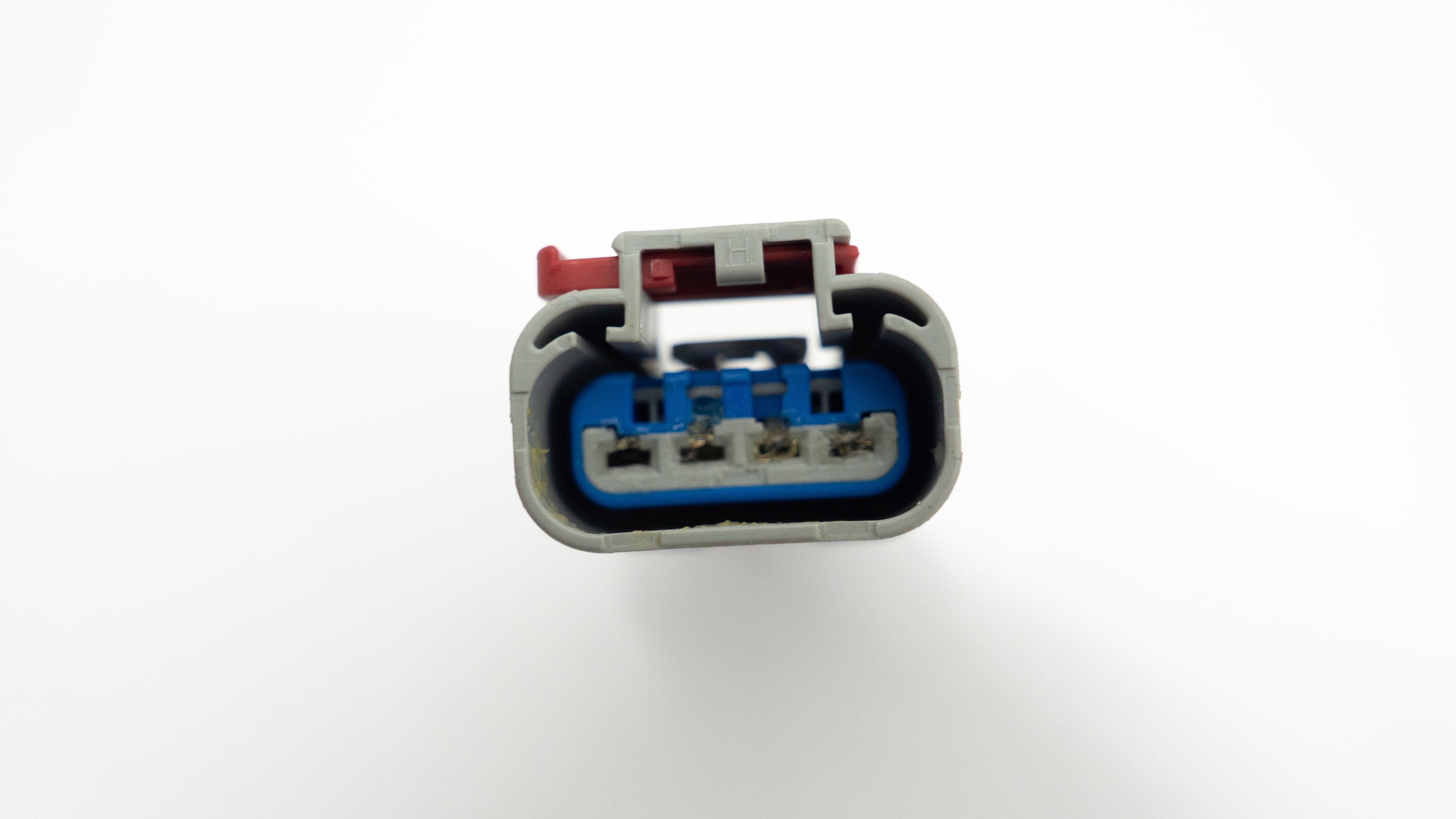 Close-up of a small electrical 4-pin connector on a white background