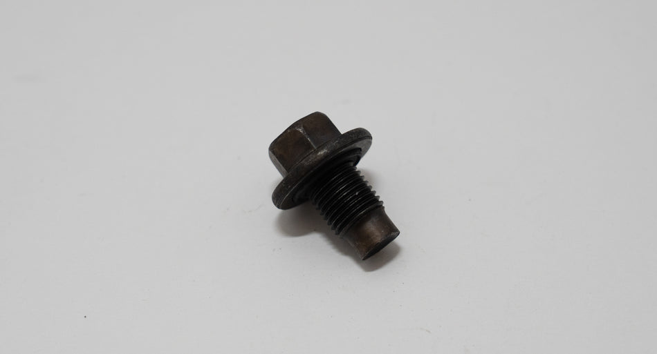 Metal automotive drain bolt on a white background